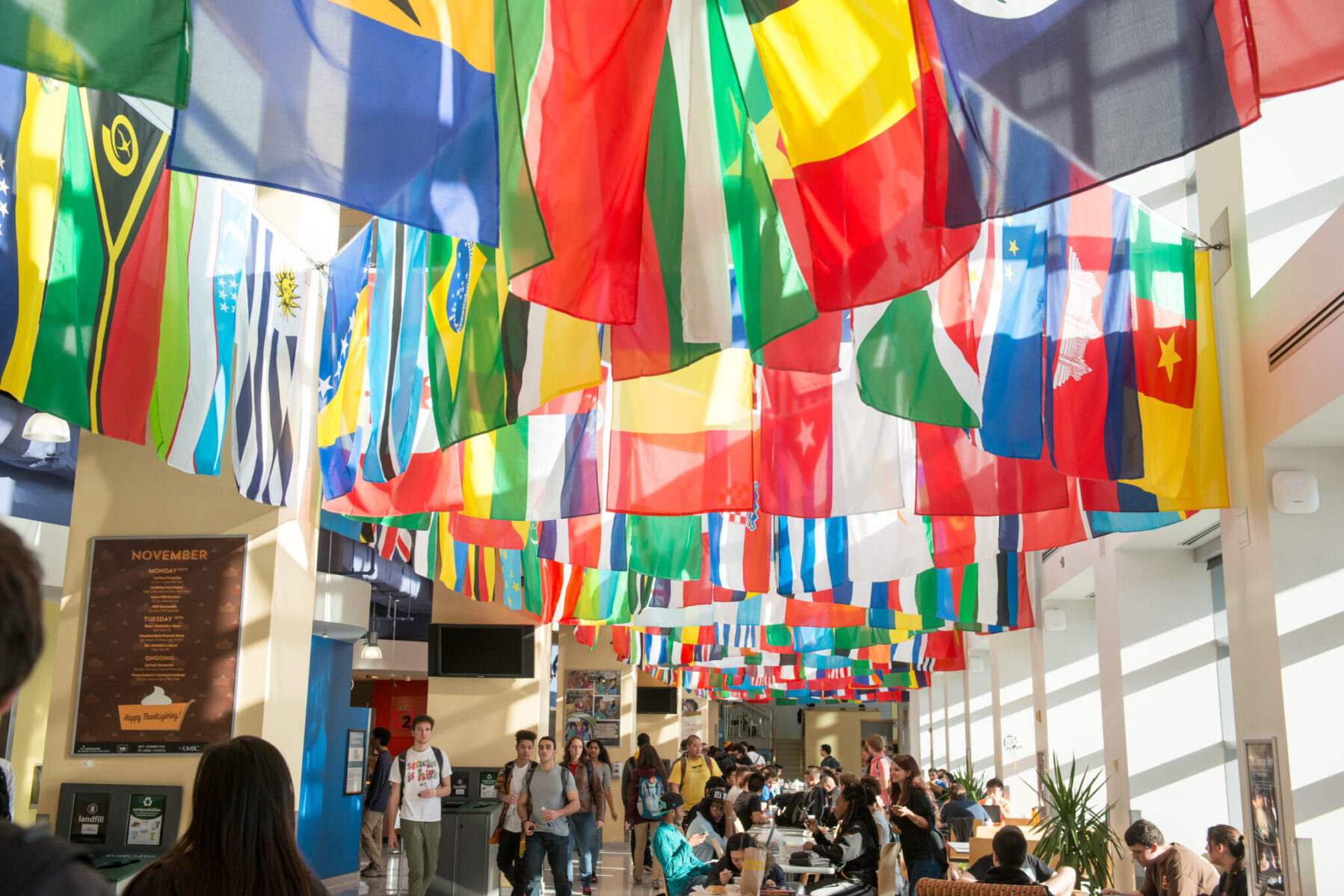 Picture of international flags in the Commons